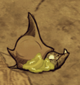 Một con Sên Rùa đang ăn một đá và nhả ra Nhớt Sên Rùa.