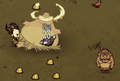 A Pig King throwing a Gold Nugget.