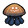 Jellyfish.png