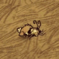 Một con Thỏ vừa được thả ra từ hành trang của người chơi.