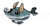 Dogfish.png
