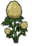 Potato Plant.png