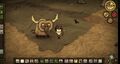 A size comparison between Wilson and a Beefalo.