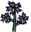 Forget-Me-Lots Plant.png