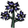 Forget-Me-Lots Plant.png