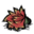 Cactus Flower.png