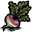 Turnip.png