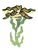 Seaweed Plant.png