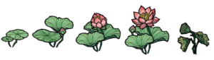 Myth lotus flower phase.png