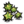 Spiky Seeds.png