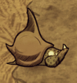 Một con Sên Rùa đang ăn một viên đá.