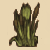 Reeds Icon.png