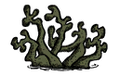 洞穴菌藻原本的外表。