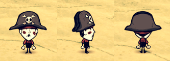 维斯戴着海盗帽。