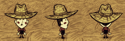 Straw Hat Wes.png