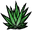 Aloe planted.png