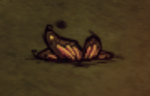 Butterfly Wings on ground.png