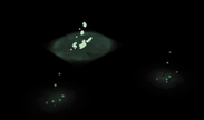 左偏下：1 群螢火蟲、左偏上：40 群分開釋放的螢火蟲、右偏上：由破壞箱子所同時釋放的 40 群螢火蟲