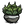 Potted Succulent.png