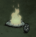 夜里放在火边孵化中的蛋