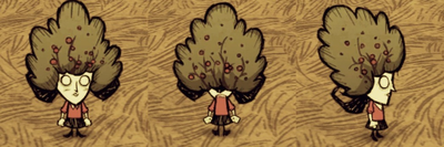 Bush Hat Willow.png