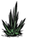 Plant.png