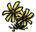 Flower.png