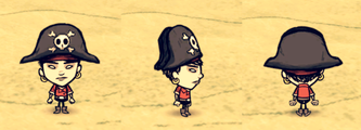 瓦拉尼戴着海盗帽。